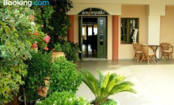 Akrogiali - Housity