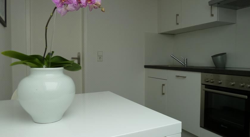 高级两卧室公寓