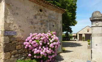 Au Bonheur d'Alphonse