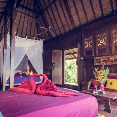 Family Suite Dragonfly Village Promo Code