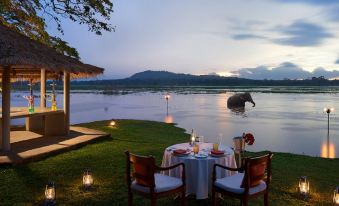 a table with chairs and a bottle of wine is set up on the edge of a lake , with an elephant swimming in the background at Habarana Village by Cinnamon