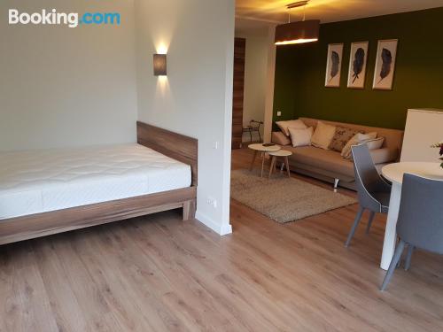 享有花园景致的公寓