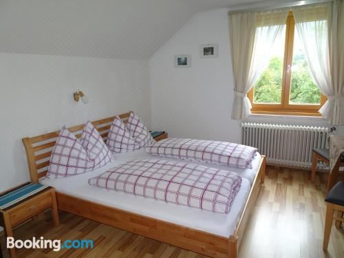 带山景的双人间