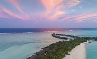 a beautiful beach with a sunset view and a resort surrounded by trees , creating a serene and tranquil atmosphere at Taj Exotica Resort & Spa