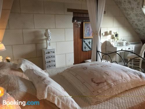 一卧室或两卧室花园景观套房