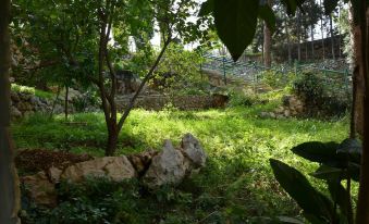 a lush green garden with various plants and trees , including a large tree in the center at Monteverde Hotel