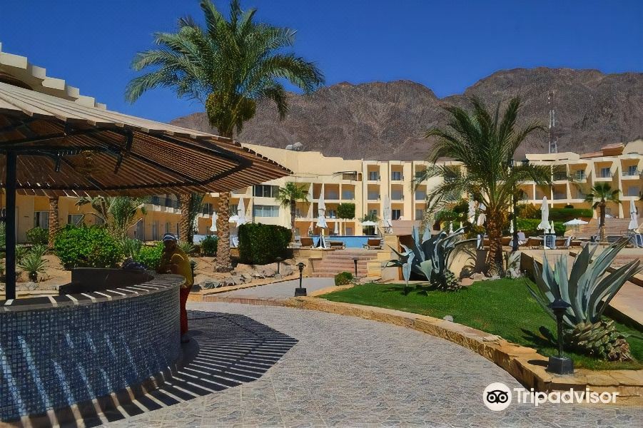 La Playa Beach Resort Taba - Housity