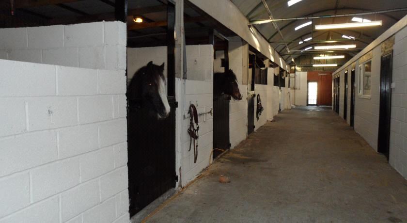 The Stables - Deer Park Farm Standard Double Room