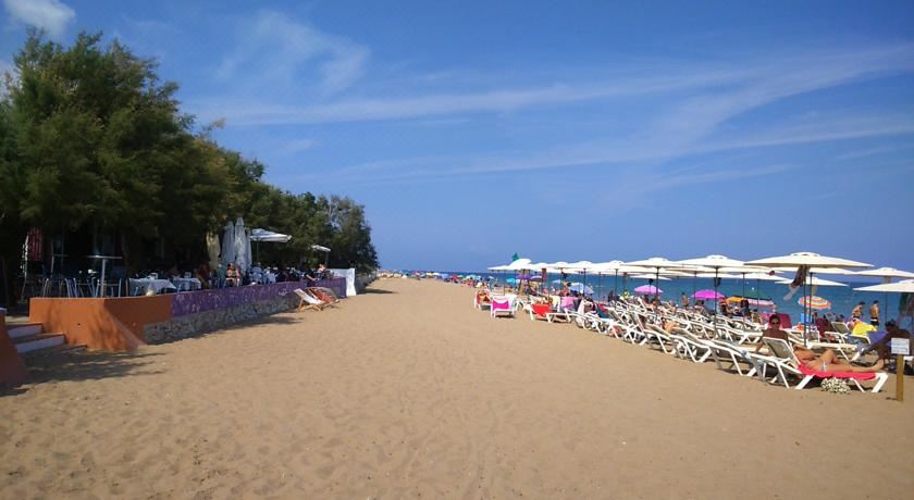 享有花园景致的公寓