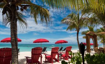 a beach scene with red lounge chairs and umbrellas , palm trees , and a clear blue sky at Bohio Dive Resort