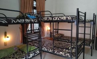 Dazhong Backpackers Hostel