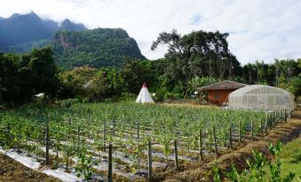 Chiang Dao Story Camp