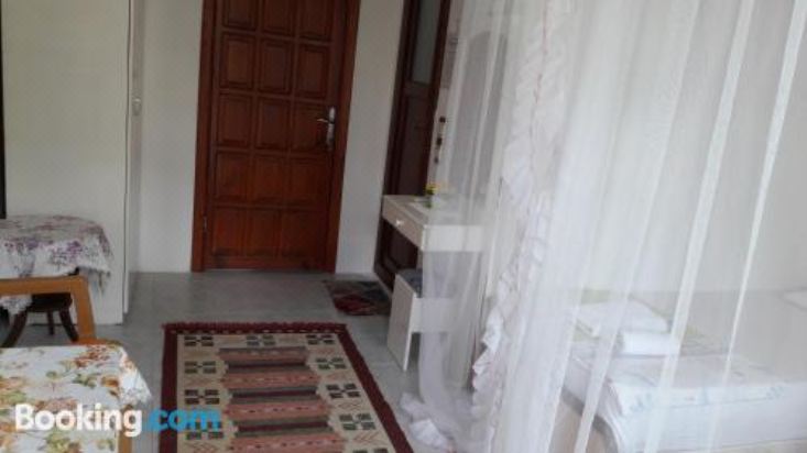 标准双人或双床房