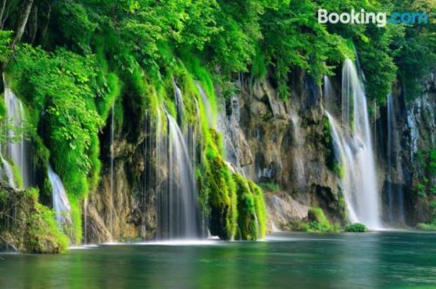 一臥室公寓 - 地面層