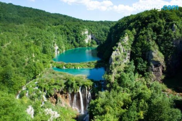 一臥室公寓 - 地面層