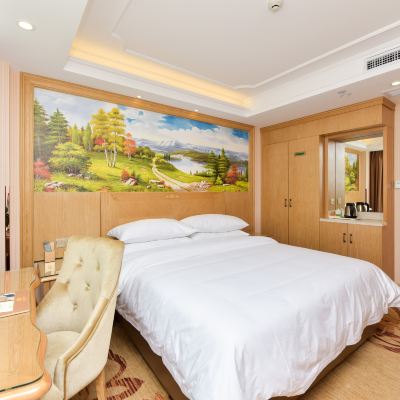 高級大床房 維也納飯店（寧波火車站店）優惠