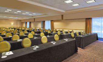 a large conference room with rows of chairs arranged in a semicircle , ready for a meeting at Sheraton Suites Chicago Elk Grove