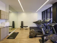 Ibis Adelaide