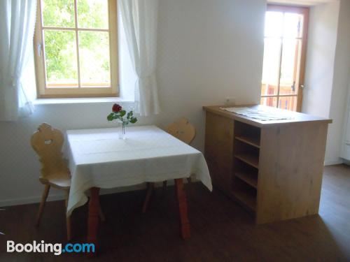 两卧室公寓，享有山景