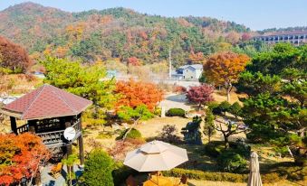 Chungju Garden Story Pension