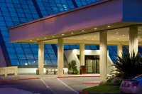 Hilton Bellevue Hotels in 