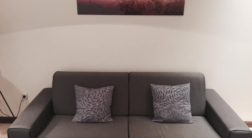 豪华一卧室公寓