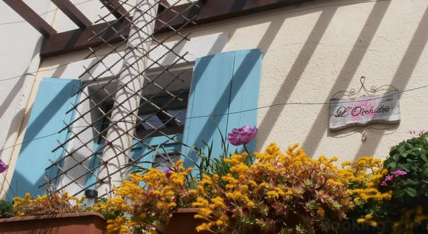 L'Orchidée - Housity