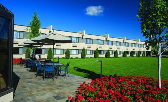 Best Western Plus University Inn