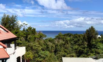 The Pool Resort Okinawa