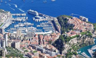 aerial view of a harbor with a large cruise ship docked , surrounded by boats and buildings at Hotel Napoleon