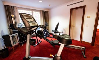 a well - equipped home gym with various exercise equipment , including treadmills and exercise bikes , set up in a spacious room at The Ambassador