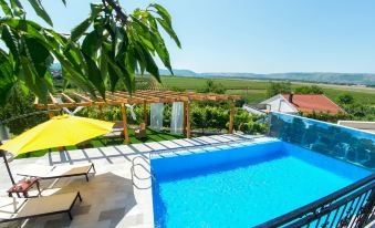 Luxury villa Imperial - with the vineyard views