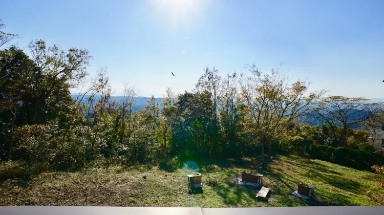 癒し空間tajima 食事・レストラン