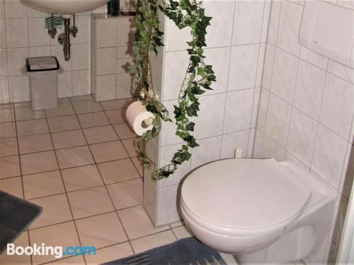 高级一卧室公寓