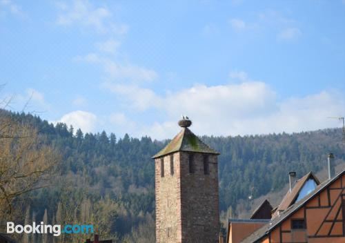 Coeur d'Alsace Two-Bedroom Apartment