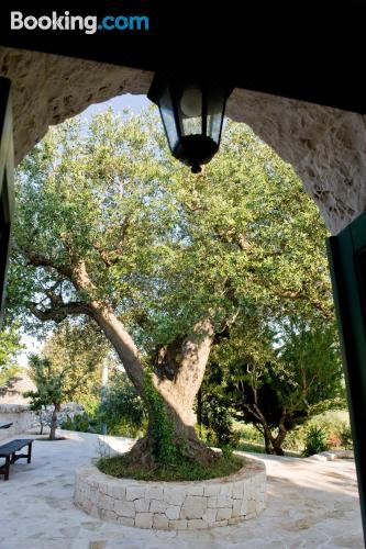 别墅（带独立泳池）