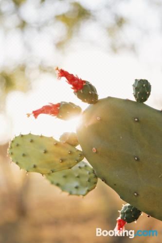 Appartamento la PinetinaApartment