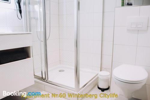 Citylife Winterberg Ferienwohnung Pool Sauna 5 Pers Near Ski Lift Wifi PS4 Deluxe Apartment
