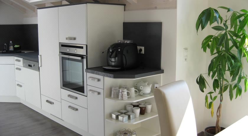 高级公寓（带桑拿浴室）