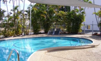 a large swimming pool with a white tarp above it , surrounded by palm trees and greenery at Motel Lodge