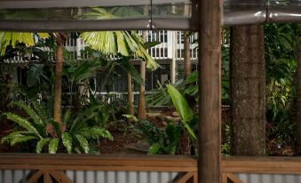 Rainforest Castaways Resort and Spa