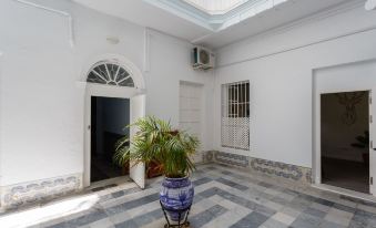 Apartamento Natural de Cádiz