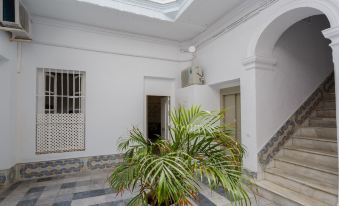 Apartamento Natural de Cádiz