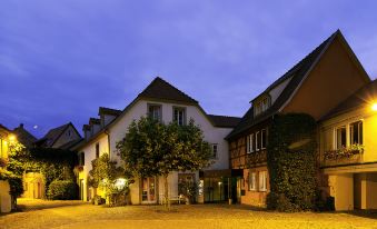 Hotel A la Cour D Alsace