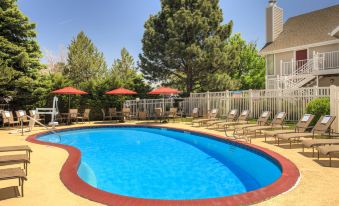 a beautiful swimming pool area with umbrellas , sun loungers , and trees , surrounded by a white building and clear blue sky at Residence Inn Denver Tech Center