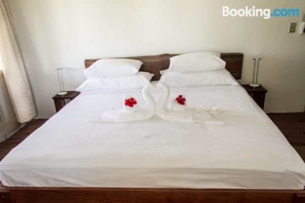 豪华特大床房（园景）