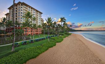 Marriott's Maui Ocean Club  - Lahaina & Napili Towers