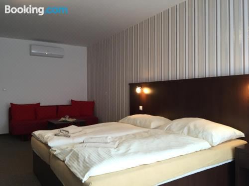 行政双人或双床房