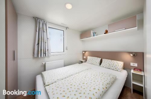 移动之家（Neptun）