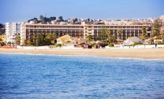 a large hotel situated on the beach , surrounded by palm trees and located near the ocean at Vik Gran Hotel Costa del Sol